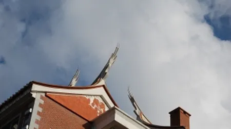 Roman in China - cu brandul de tara in piept si cu mintea la afaceri profitabile