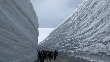 Minunile civilizatiei: Cum deszapezesc japonezii (Galerie Foto)