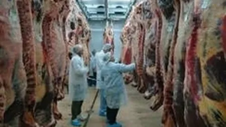 Guvenul francez va da joi un verdict in cazul Findus