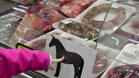 Grupul care castiga din scandalul carnii de cal