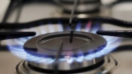 Profitul net al Transgaz a scazut anul trecut cu 27%, la 281 mil. lei