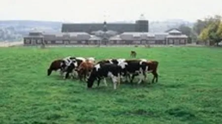 Fermierii romani au primit fonduri europene de 4,24 mld. euro in 6 ani