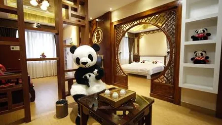 Primul hotel din lume care are ca tematica ursul panda (Video)