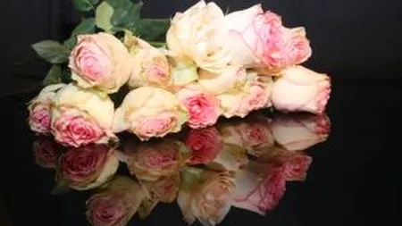 8 Martie: Cele mai importante evenimente de Ziua Femeii in Capitala