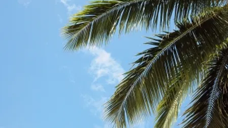 Discount-uri de 30% la targul de turism