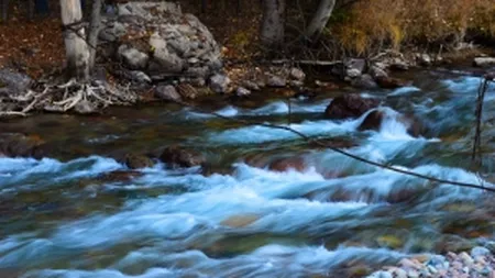 Cod galben de inundatii pentru raurile din nord-vestul tarii