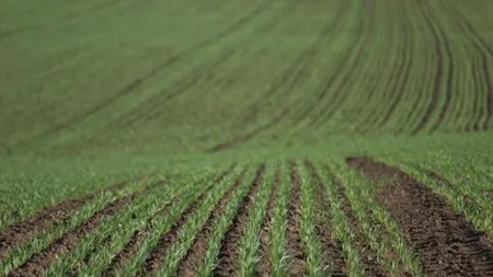 Nu ne vindem tara? Statul pregateste cea mai tare afacere din istoria Romaniei
