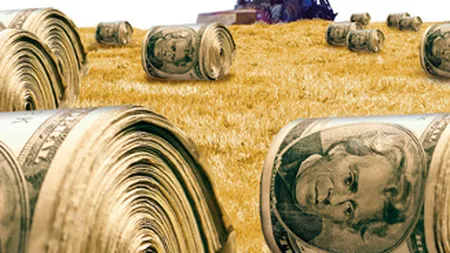 Adio plasamente sigure! Secera si ciocanul, mai profitabile decat banca si bursa?