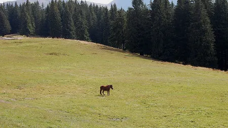 Contabilizarea mediului: 5 riscuri care pot afecta afacerile