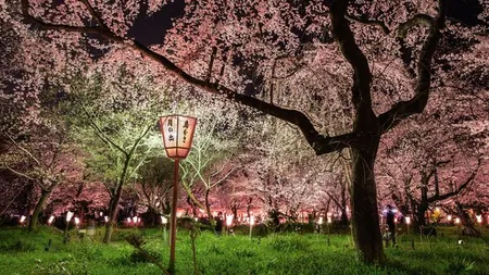 Calatoriile lunii martie: 5 colturi ale lumii, surprinse in 5 fotografii