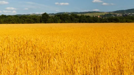 EximBank imprumuta grupul Agricover cu 70 milioane de lei