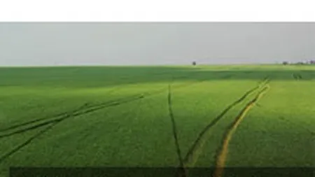 Nikolaus Mann, trimis in judecata pentru devalizarea Aton cu 33 mil. euro