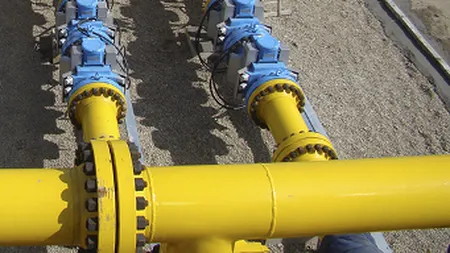 Actiunile Transgaz, cele mai tranzactionate vineri dimineata la BVB