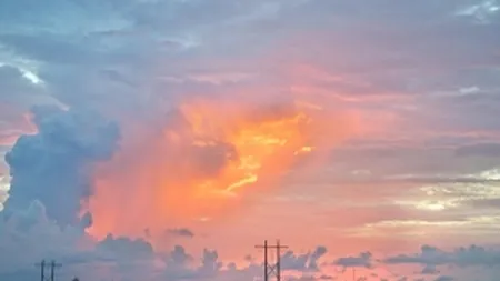 Bilantul furtunii din Capitala: 140 de arbori si 21 de constructii provizorii afectate