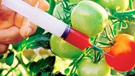 Protest in Capitala fata de organismele modificate genetic