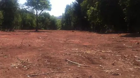 O treime din Parcul Operei, defrisata pentru amenajarea unui club de tenis (Video)