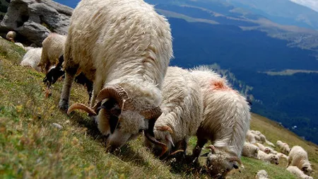 Romania, promovata in statiile de metrou din Rusia, Germania, Austria si Franta