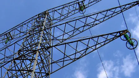Transelectrica va plati actionarilor dividendele pe anul 2012
