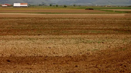 Dezvoltare rurala: Suplimentari de fonduri unice in UE. Dar sa fim corecti