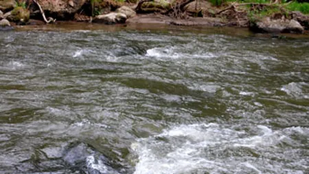 Efectele inundatiilor: Circulatie ingreunata, poduri avariate, case afectate