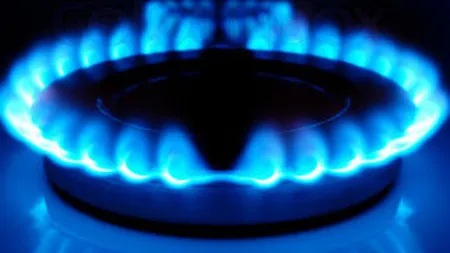 Importurile de gaze au scazut cu 34,7% in primele 4 luni din 2013