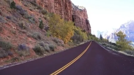 Agentia implicata in accidentul din Muntenegru: Doar la un punct de lucru s-a omis reinnoirea licentei de turism