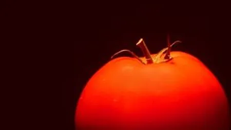 Deputatii au aprobat cultivarea plantelor modificate genetic in ariile naturale protejate