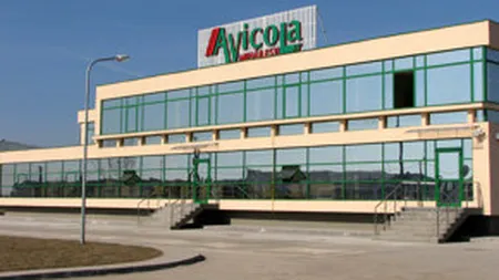 GDF Suez Energy executa silit Avicola Mihailesti, pentru 45.000 euro