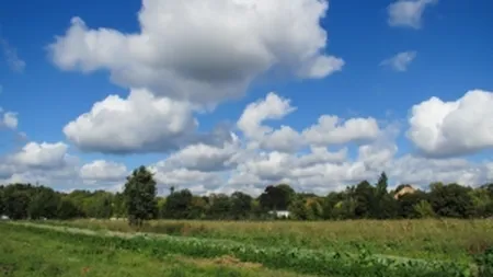 Legea vanzarii terenurilor agricole, pe masa Guvernului pana la finalul lunii august