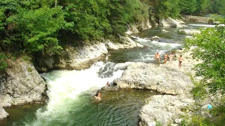 Japonezii aloca peste 1 mil. euro pentru studierea florei si faunei din Rezervatia Gorjului