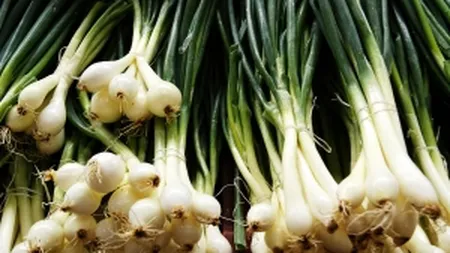 Ceapa romaneasca pe cale de disparitie. Importurile au crescut cu 72% in primele 4 luni