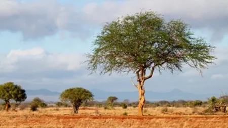 20 august, momentul zero: Oamenii au inceput sa consume mai mult decat le poate oferi planeta