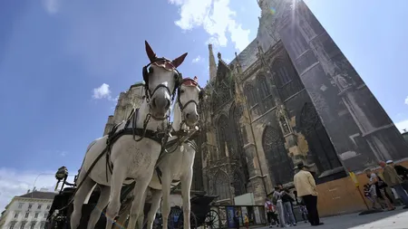 Cat au cheltuit romanii pe cazare in Viena in primele 6 luni