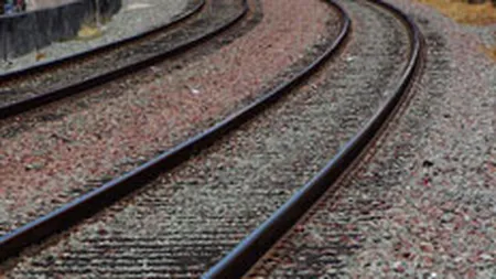 CFR SA a inchiriat o singura sectie de cale ferata din cele 14 scoase la licitatie