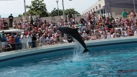 Euroins despagubeste Delfinariul din Constanta cu 120.000 euro. Vezi pentru ce