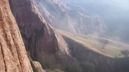 Cele mai citite articole ale saptamanii pe DailyBusiness.ro