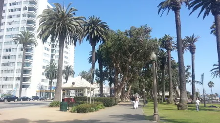 Fata nevazuta a metropolelor turistice: 7 sfaturi ca sa eviti surprizele in LOS ANGELES (Galerie Foto)