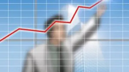 Cum avanseaza piata de outsourcing salarial in 2013