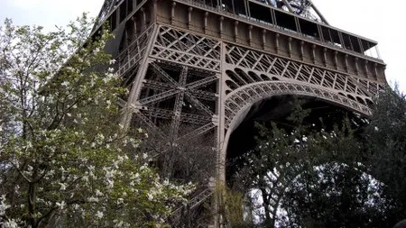 Fata nevazuta a metropolelor turistice: Opere de arta si balarii in marele PARIS