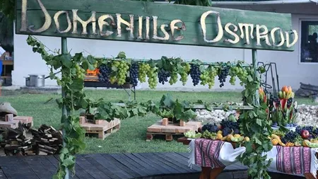 Domeniile Ostrov estimeaza o crestere a productiei cu 80% in acest an