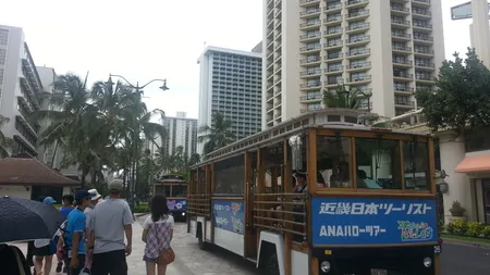 Fata nevazuta a obiectivelor turistice. Ce trebuie sa stii pentru o vacanta fara griji in HAWAII (Galerie Foto)