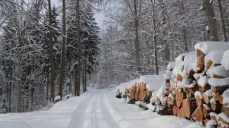 Ninsoarea a blocat circulatia pe Transfagarasan