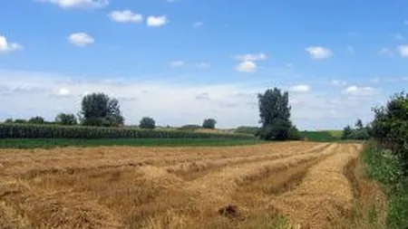 Sistem nou de finantare in agricultura: Utilaje la schimb cu cereale