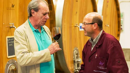 Vitis Metamorfosis investeste 5 mil. euro in Podgoria Dealu Mare