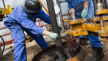 Productia industriala a crescut cu peste 6% la 8 luni