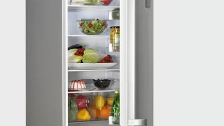 Arctic Gaesti a devenit cea mai mare fabrica de frigidere din Europa