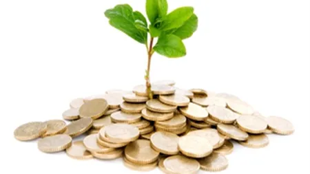 FMI estimeaza ca economia Romaniei va avea o crestere constanta in 2014