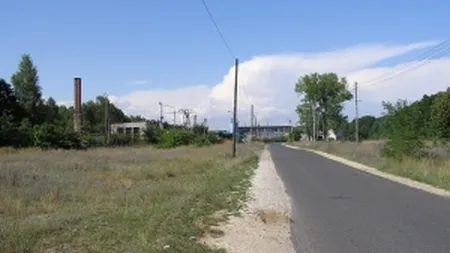 Licitatie de 83 mil. euro pentru reteaua telecom care va acoperi zonele devaforizate