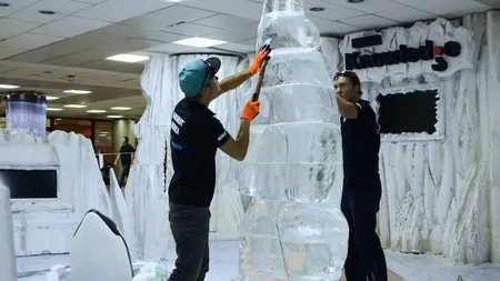 Cum raspunde Ioan Niculae atacului la industria chimica: Nu ardem gazul de pomana