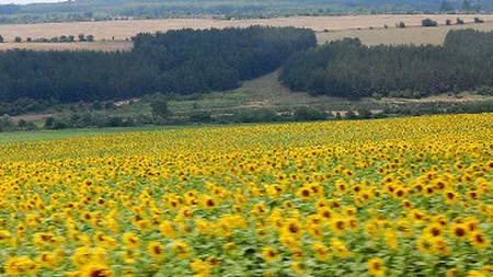 Rockefeller vs Swamiji. Suntem prea multi pe planeta sau impartim prost resursele?